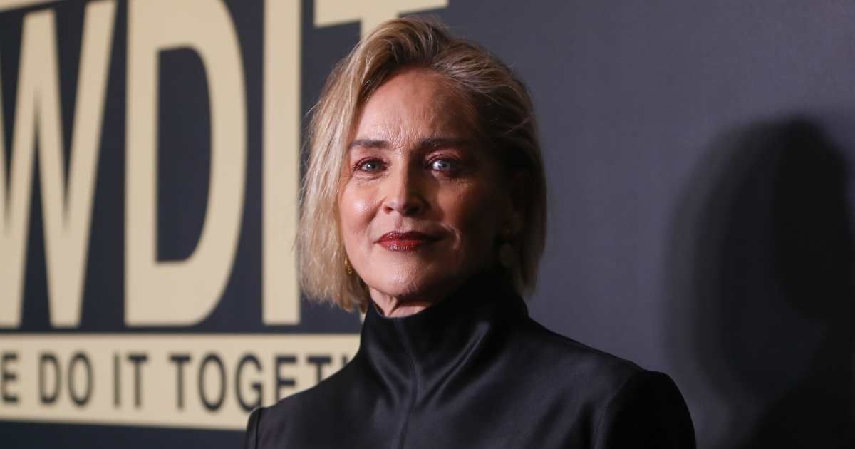 Sharon Stone attends the We Do It Together's 10th Anniversary Gala at Mr. Brainwash Art Museum on November 18, 2025, in Beverly Hills, California (Paul Archuleta/Getty Images)