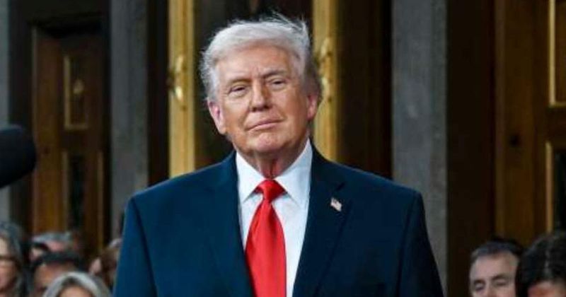 GOP strategist says Trump ‘orchestrated a great midterm ad’ with Dems’ show of defiance at SOTU