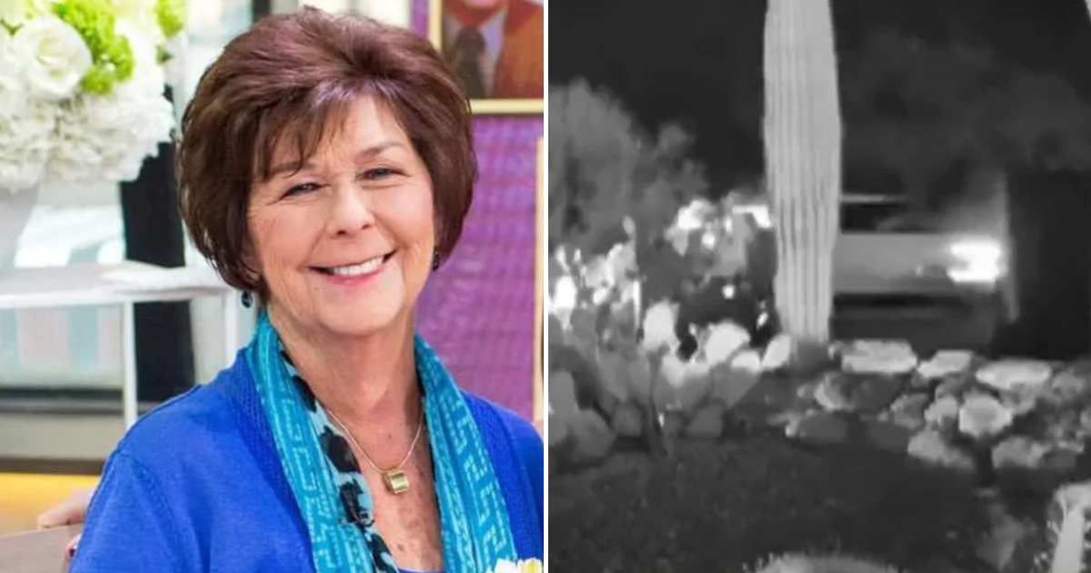 Sheriff Chris Nanos says authorities are examining a vehicle seen near Nancy Guthrie’s home (@savannahguthrie/Facebook, Ring Camera screenshot/Fox News Digital)
