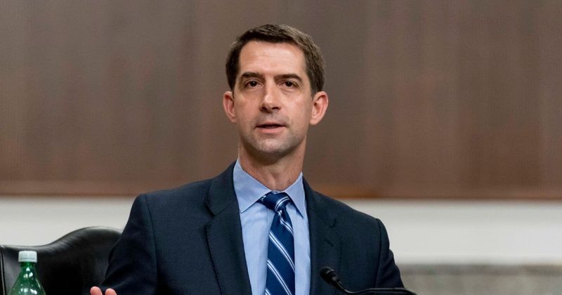 Senator Tom Cotton says Iran strike is necessary success, praises Trump’s bold use of force