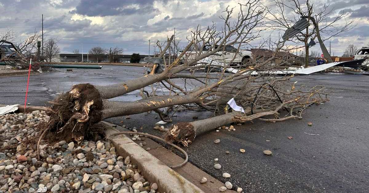 Damage is seen across Union City, Michigan, following Friday’s deadly tornado (Devin Anderson-Torrez/Jackson Citizen Patriot via AP)