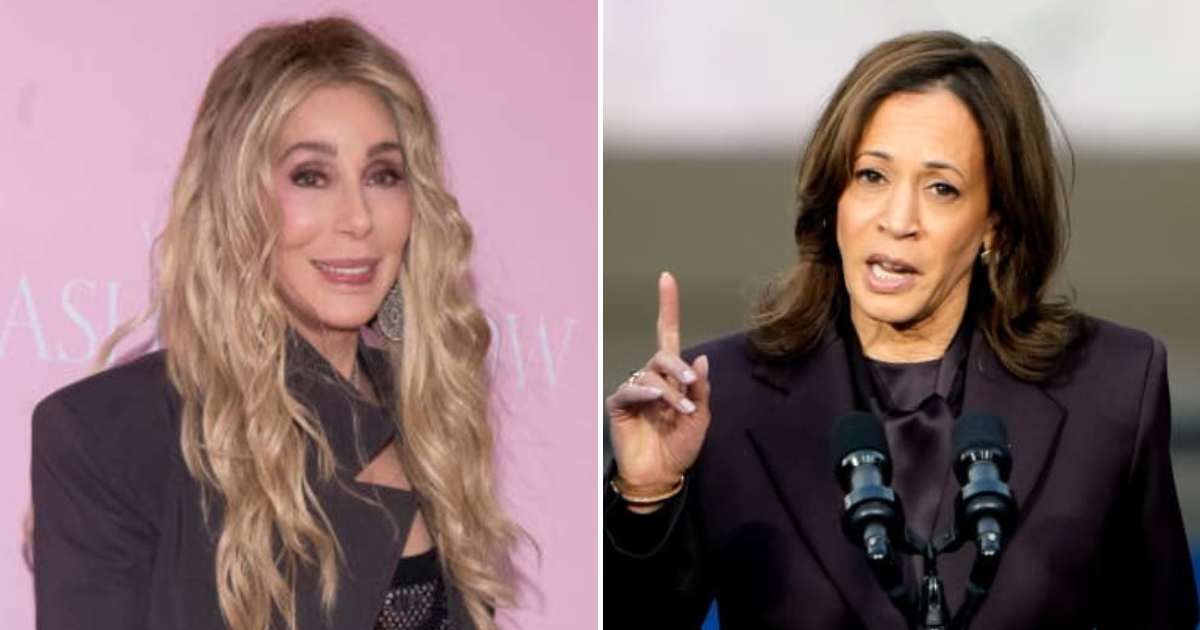 A Facebook post claimed Cher is hiding $1.2 million in taxes tied to Kamala Harris campaign (Getty Images)