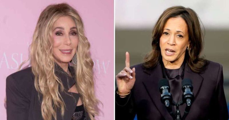 Fact Check: Is Cher hiding $1.2 million in taxes tied to Kamala Harris campaign?