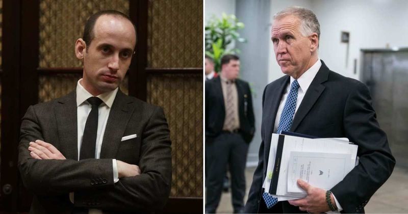 GOP Senator Tillis brands Stephen Miller a 'big problem' and demands he go amid Trump cabinet chaos
