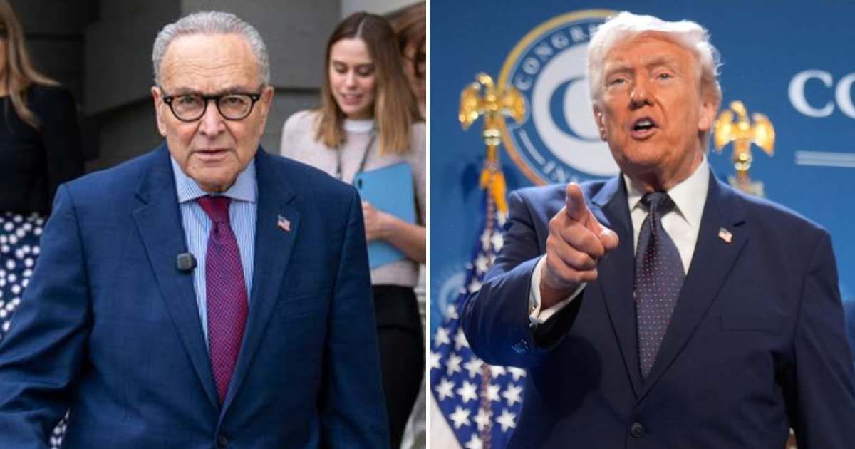 Donald Trump accused Chuck Schumer and Democrats of risking national security by extending the DHS shutdown as the FBI warns about possible Iranian sleeper cells (Getty Images, AP Photo/Mark Schiefelbein)