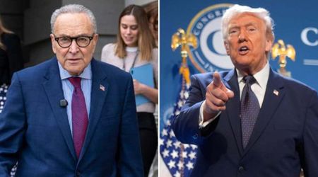 Trump slams Chuck Schumer over DHS shutdown amid Iranian sleeper cell warning: 'Biggest problem'