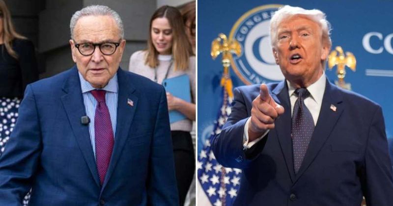 Trump slams Chuck Schumer over DHS shutdown amid Iranian sleeper cell warning: 'Biggest problem'