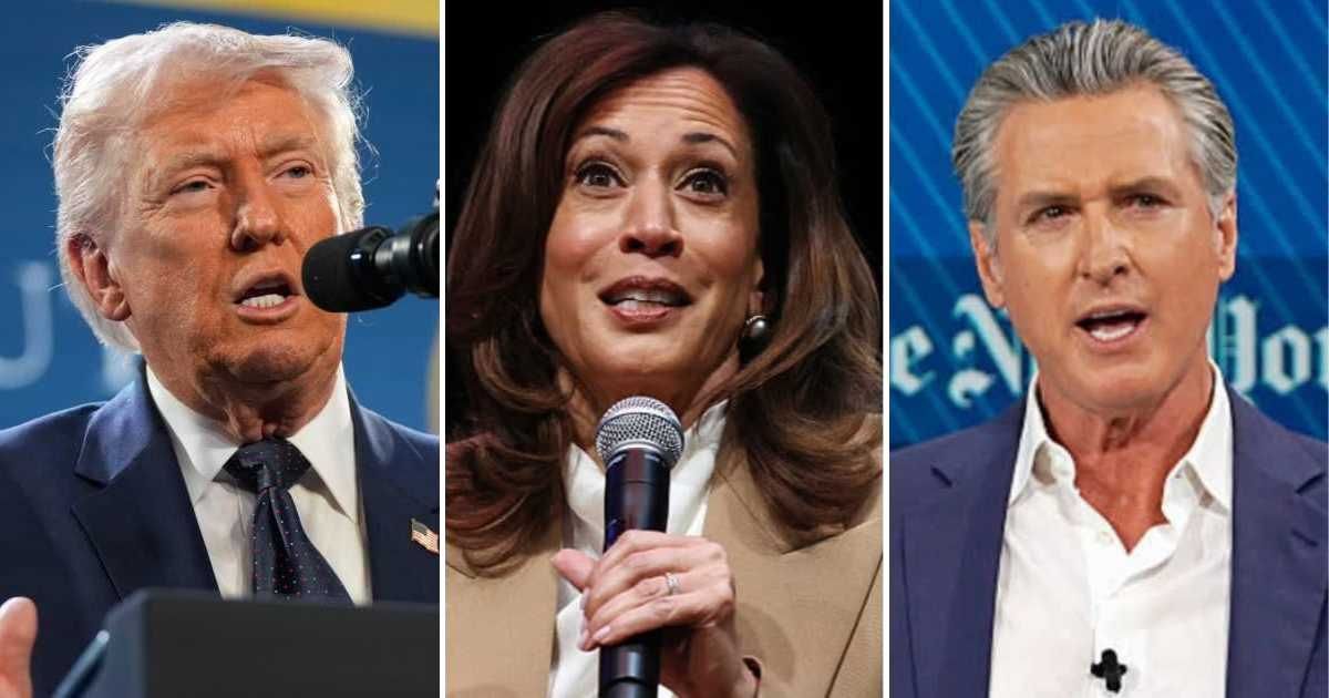 Donald Trump beat out Kamala Harris and Gavin Newsom in popularity in a recent survey conducted by NBC News (AP Photo/Mark Schiefelbein, Getty Images)