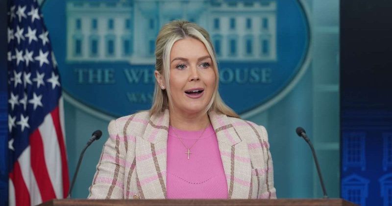 Leavitt blasts reporter over Trump Iran war justification question: ‘He's not making anything up’