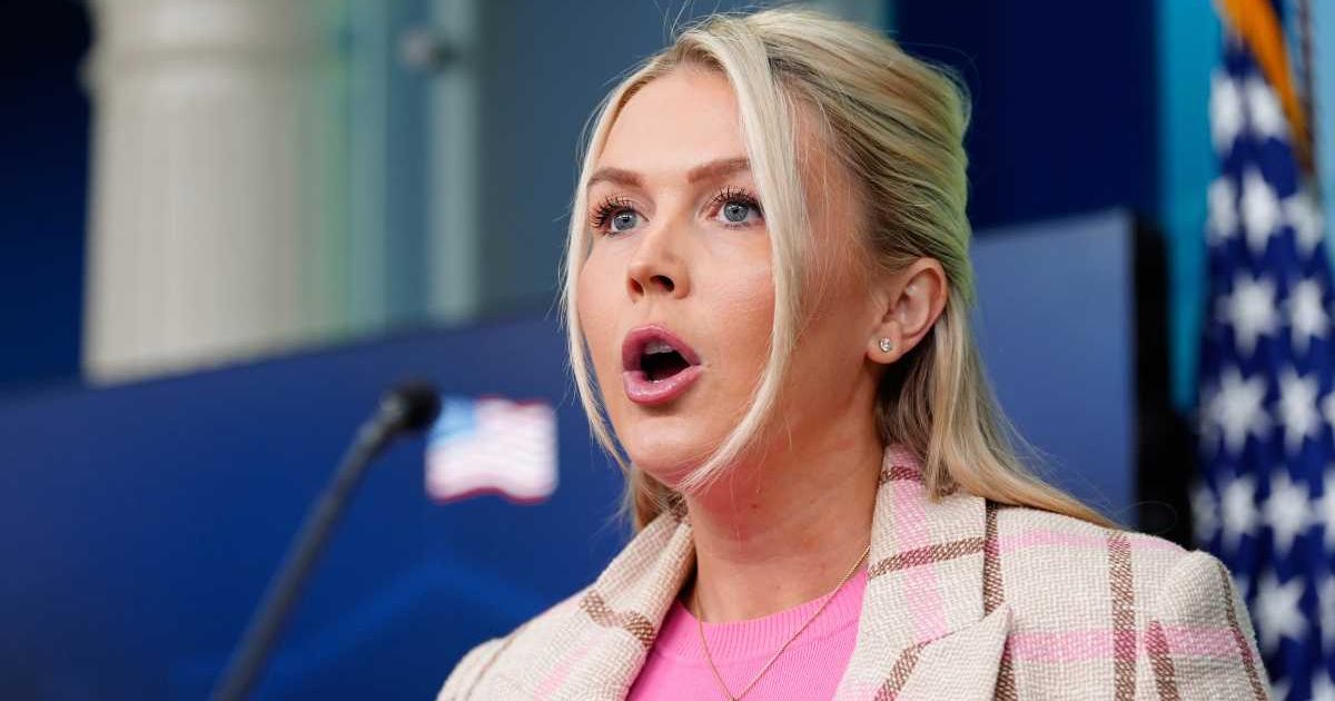  White House Press Scretary called out the Democrats for aiding DHS shut down (AP Photo/Alex Brandon)