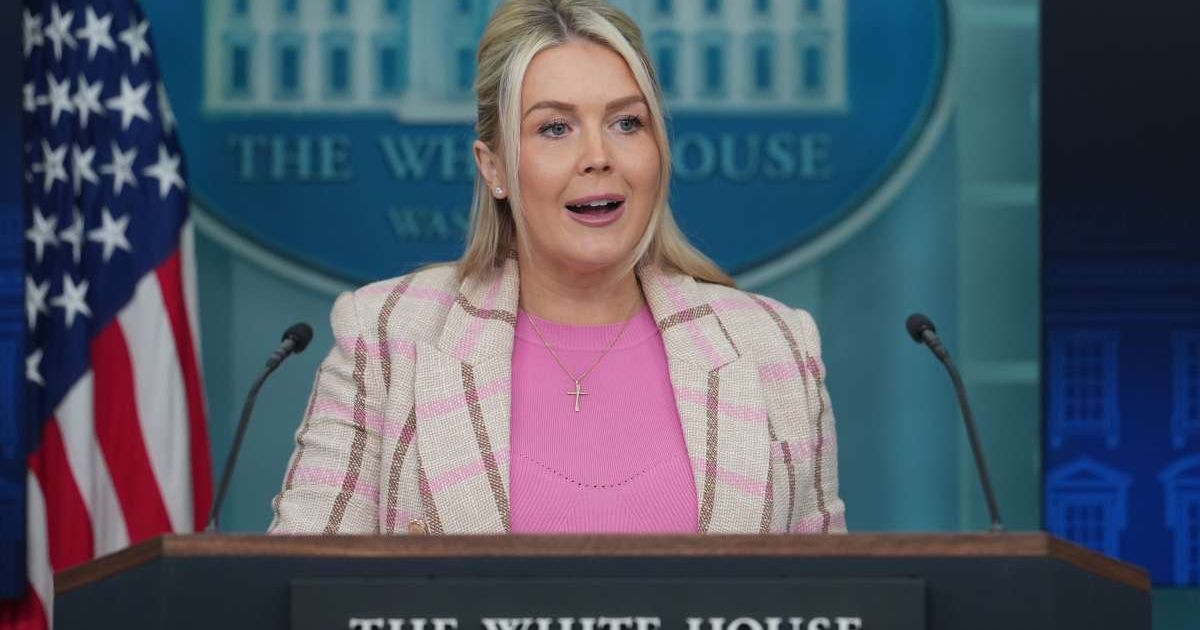 Karoline Leavitt said the SAVE America Act does not stop Americans from voting and accused Democrats of wanting to allow illegal aliens to vote (AP Photo/Julia Demaree Nikhinson)