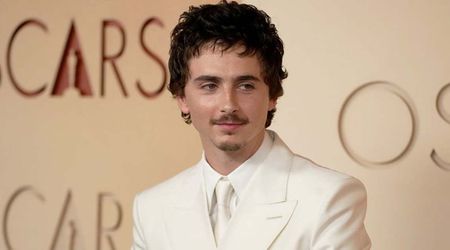 Fact check: Did Timothée Chalamet fall down the stairs at 2026 Oscars?