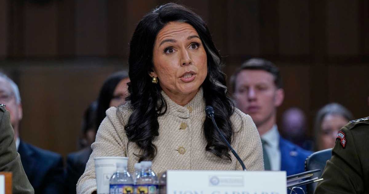 Despite telling the Senate she was only an observer, Gabbard’s own letter confirms she 'accompanied' the FBI to coordinate the Fulton County raid (AP Photo/Jose Luis Magana)
