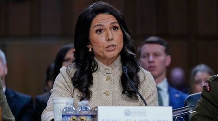 Gabbard’s Senate testimony exposed as 'total lie' by her own Fulton raid letter