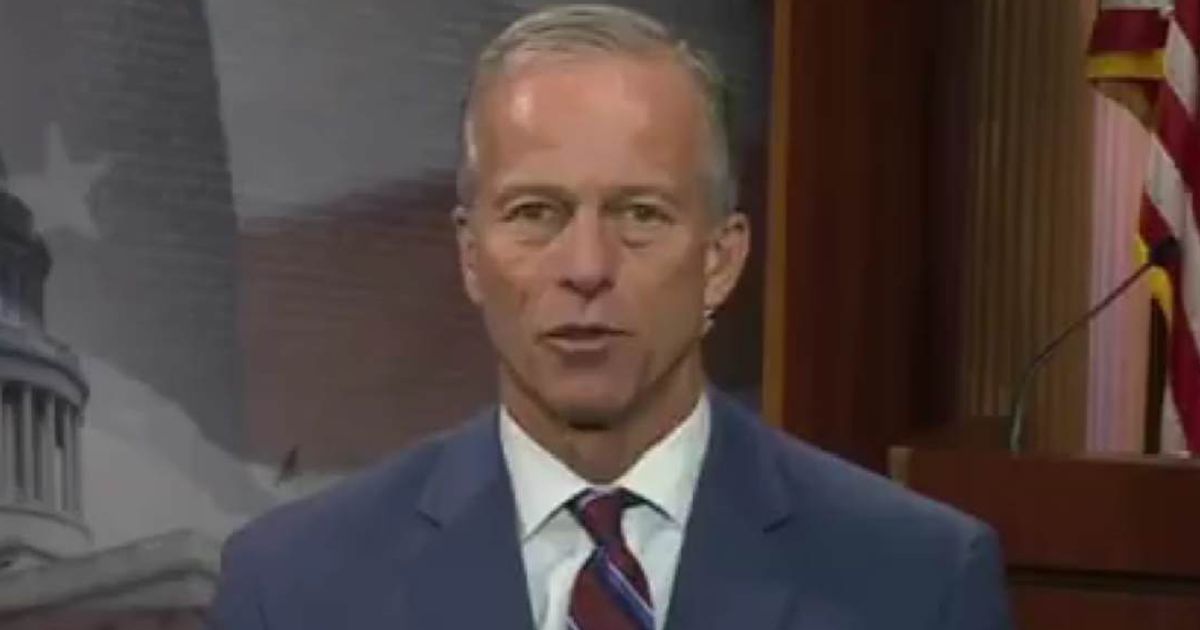 John Thune said Republicans will push the SAVE Act in fall elections as Democrats oppose the election security bill (Screengrab/@LeaderJohnThune/X)