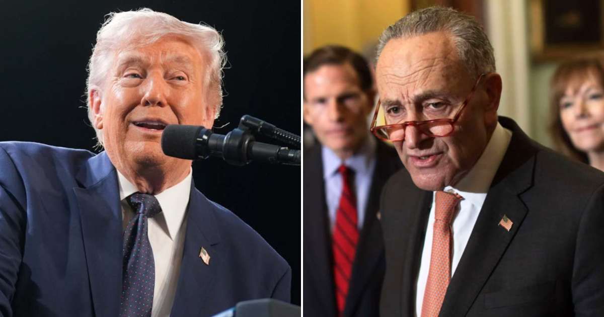 President Donald Trump took aim at Chuck Schumer after the Senate Minority Leader briefly misspoke on the floor, saying 'We must fund ICE' before quickly correcting himself to refer to the Transportation Security Administration (Getty Images)