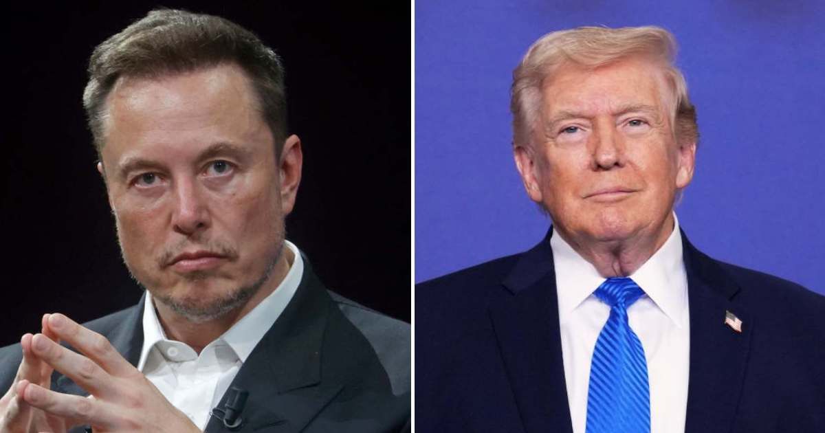 Trump expresses gratitude to ICE after praising Elon Musk (Getty Images, AP Photo/Mark Schiefelbein)