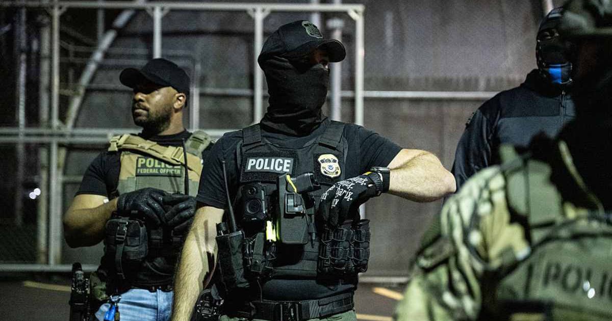 Several protesters claimed that ICE officers took DNA samples from them in custody (Getty Images)