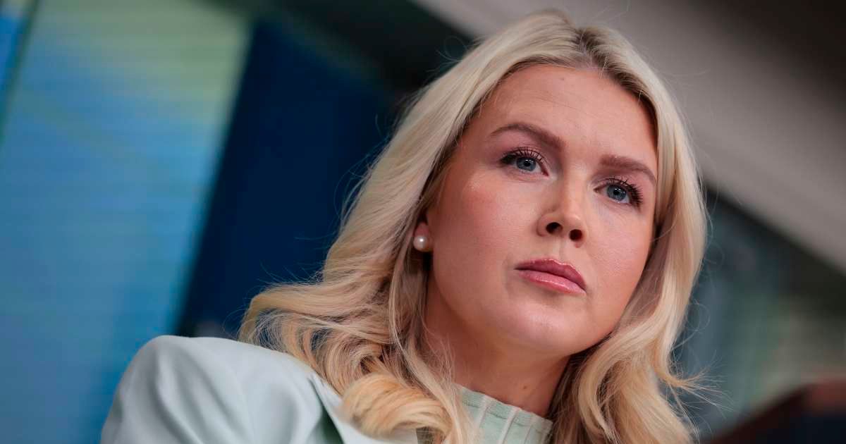 Press Secretary Karoline Leavitt criticized Jamie Raskin's letter and MS NOW's reporting, calling both a 'cheap political stunt' during a White House briefing on Wednesday, March 25 (Getty Images)