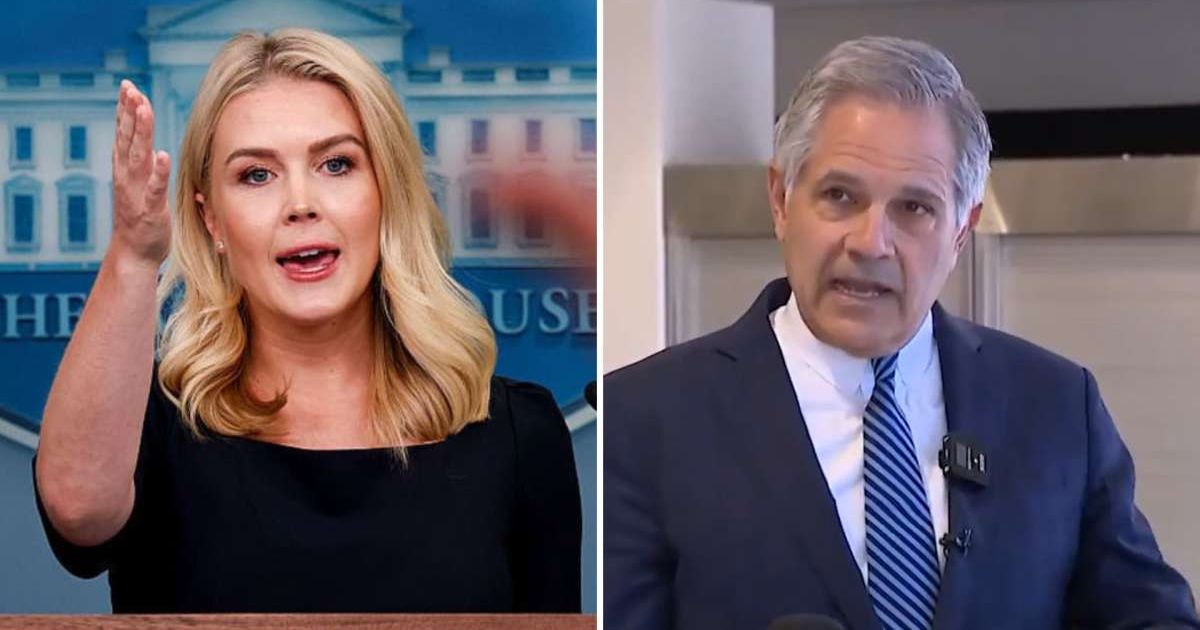 Karoline Leavitt defended ICE agents involved in airport duties after Larry Krasner threatened to arrest them (Getty Images/Screengrab/X/@WesternLensman)