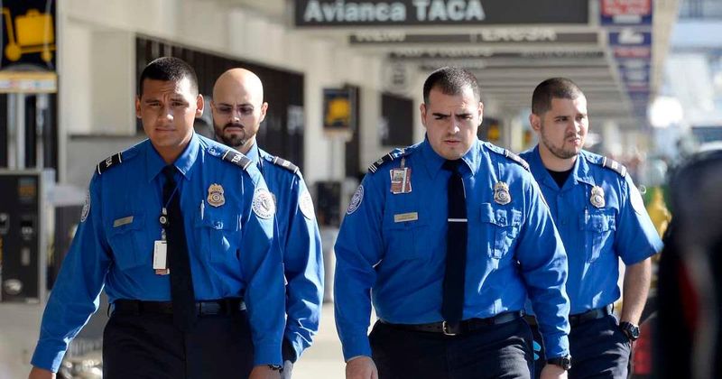 TSA union president 'grateful' officers will get paychecks, says other DHS workers must be paid too