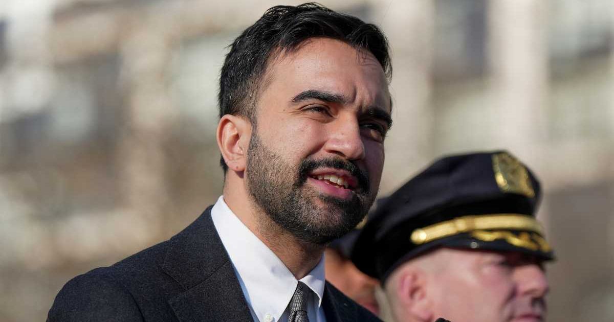 Zohran Mamdani said 'No Kings' rally participants want to see a 'shred of decency, dignity, and humanity' come back to the city and the country's politics (AP Photo/Angelina Katsanis)