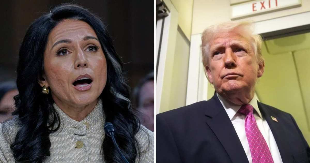 Donald Trump said that while Director of National Intelligence Tulsi Gabbard has a different perspective on Iran's nuclear capabilities, it does not make her 'unable to serve' (AP Photos/Jose Luis Magana, Mark Schiefelbein)