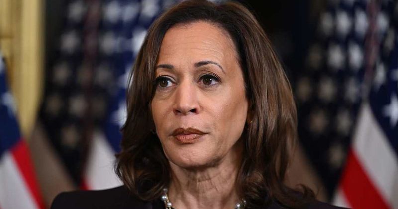Kamala Harris faces backlash over text promoting Deep South tour: 'Her career is over'