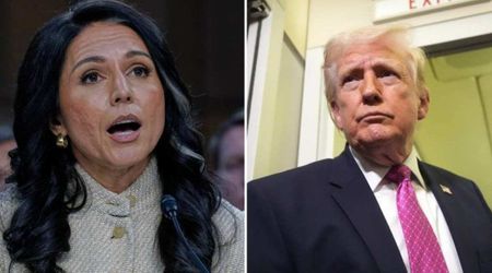 Trump weighs axing Tulsi Gabbard as intelligence chief after Iran testimony: Report 