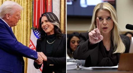 Fact Check: Is Donald Trump considering firing Tulsi Gabbard after Pam Bondi?