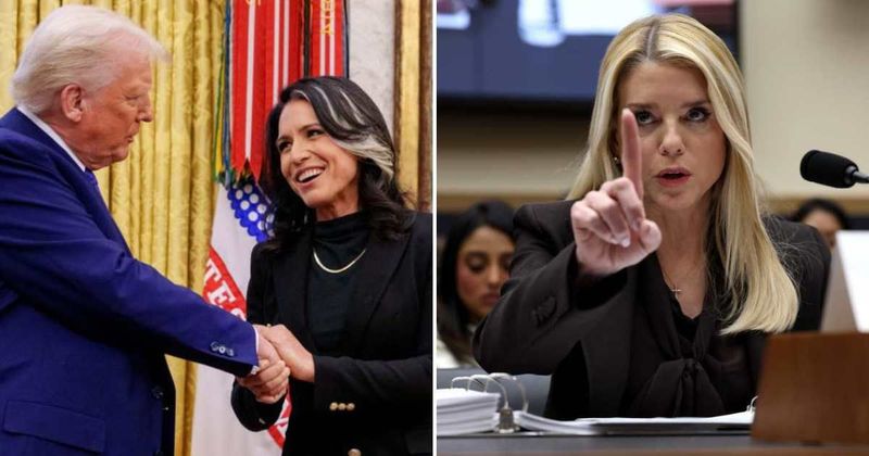 Fact Check: Is Donald Trump considering firing Tulsi Gabbard after Pam Bondi?