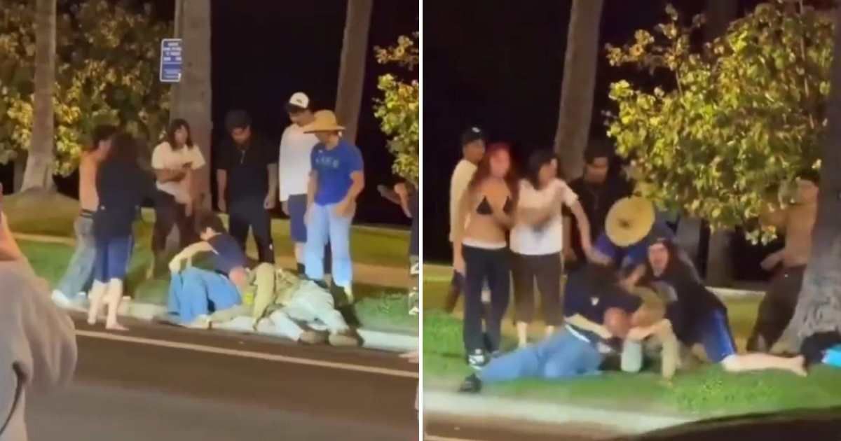 A viral video shows a person wearing a tactical ICE vest being assaulted by protesters (@Jvnior/X)