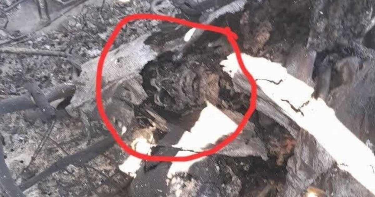 An online photo claimed a US soldier’s skull found in a downed C-130 wreckage (@globeobserver/X)