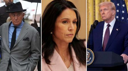 Roger Stone ‘sealed the deal’ blocking Trump move to fire Tulsi Gabbard