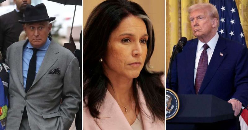 Roger Stone ‘sealed the deal’ blocking Trump move to fire Tulsi Gabbard