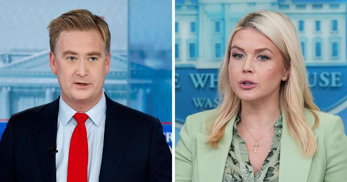 Peter Doocy raised concerns over 10 missing or dead US scientists, asking if authorities are investigating possible connections (Getty Images, AP Photo)