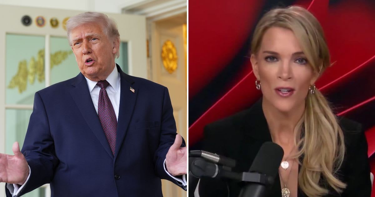 Megyn Kelly says Donald Trump is aiding Democrats ahead of midterms, citing Epstein case and bipartisan 'Dignity Act' (Screenshot/The Megyn Kelly Show/X, AP Photo/Alex Brandon)