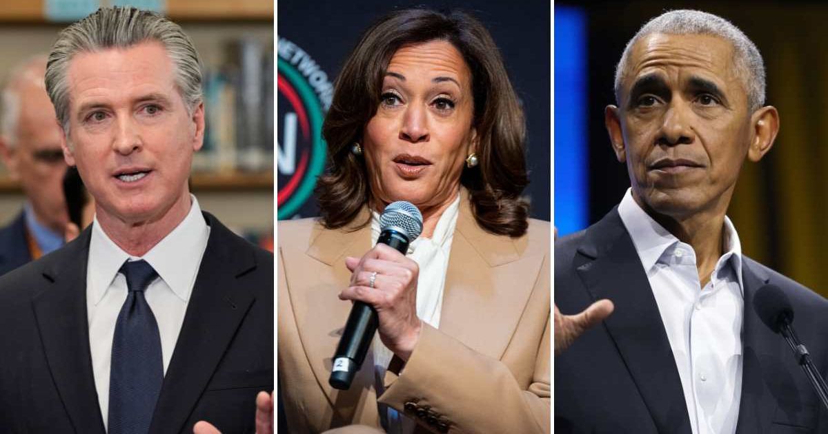 Democrats won a key Virginia redistricting battle shaping House control, as Barack Obama, Kamala Harris, and Gavin Newsom praised it as pushback (AP Photo, Getty Images)