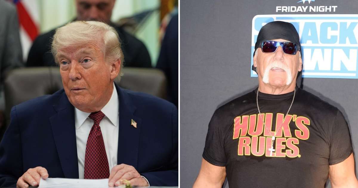 Donald Trump reminisced about his friendship with Hulk Hogan in the four-part Netflix series about the late wrestling icon (Getty Images)
