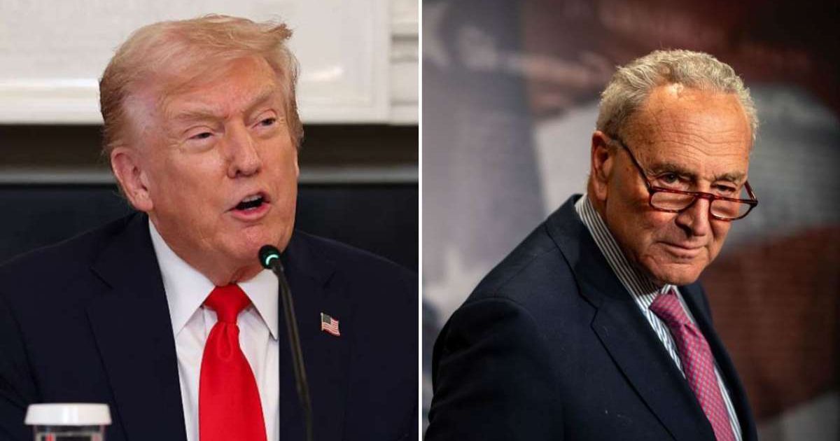 President Donald Trump said Senate Minority Leader Chuck Schumer 'should apologize immediately', calling his remarks on ICE and Border Patrol egregious (Anna Moneymaker/Getty Images, Kent Nishimura/Getty Images)
