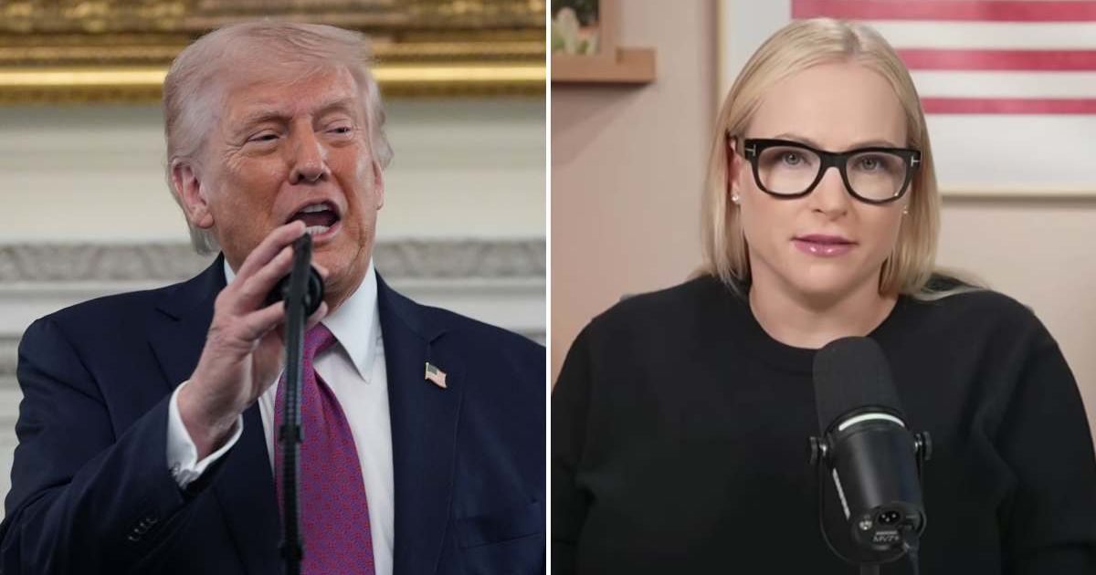 Meghan McCain revealed Donald Trump sent her a 'gracious' private message granting her permission to attend Tulsi Gabbard's confirmation at the White House (AP Photo/Mark Schiefelbein, Screengrab/CitizenMcCainYouTube/YouTube)