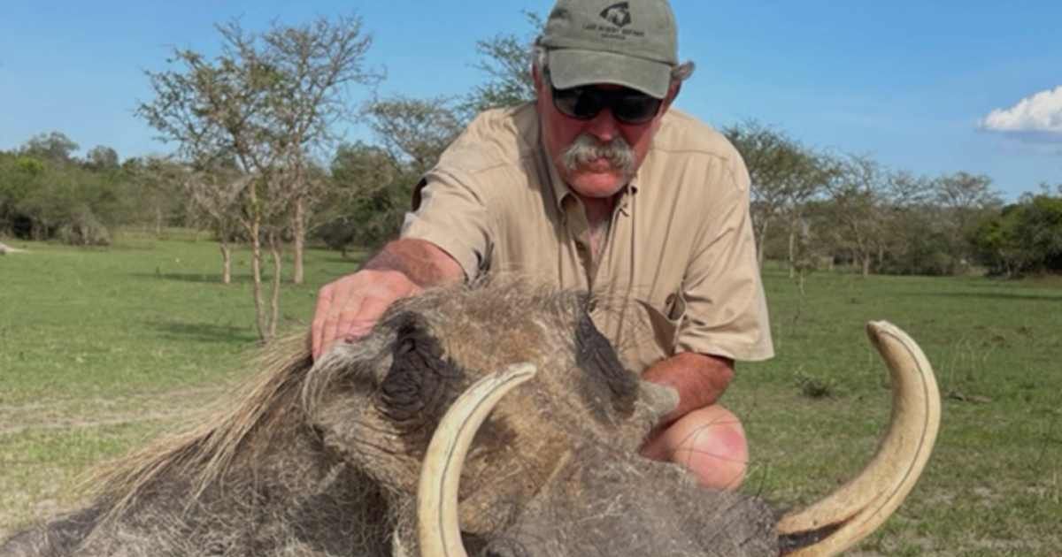 Ernie Dosio, 75, was on a guided $40,000 trip when a herd of elephants charged at him (bobbyhansensafaris.com)