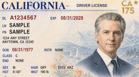 Newsom mocks Trump passport portrait with ‘very handsome’ California driver’s license 
