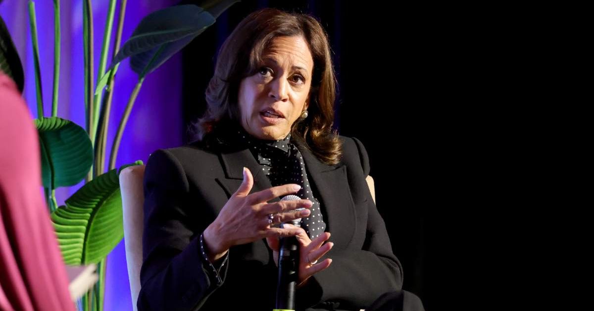 Kamala Harris spoke in Beverly Hills and criticized the administration while urging Democrats to fight harder for voting rights (Frazer Harrison/Getty Images)