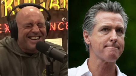 Newsom fired back at Joe Rogan's 'not a real human' claim with a public dare
