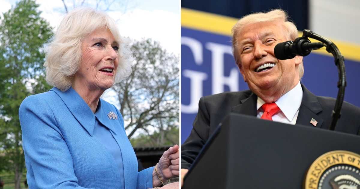 A viral video claims Queen Camilla called Donald Trump an ‘arrogant and rude clown’ (AP Photo, Getty Images)