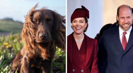 Prince William and Princess Catherine 'welcome' new dog to royal family