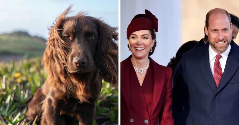 Prince William and Princess Catherine 'welcome' new dog to royal family