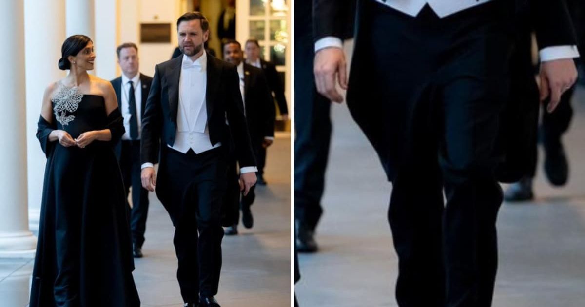 Several users used humor to question the outfit’s fit and style, while others compared it to different aesthetics or pop culture references (X/@VP)
