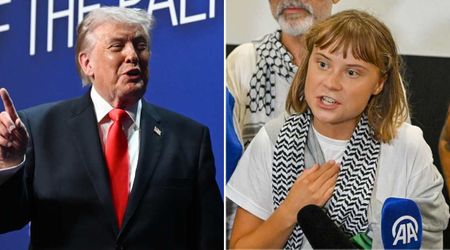 Fact Check: Did the State Department ban Greta Thunberg over a post threatening Trump?